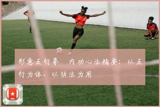 形意五行拳・内功心法精要:以五行为体,以劲法为用