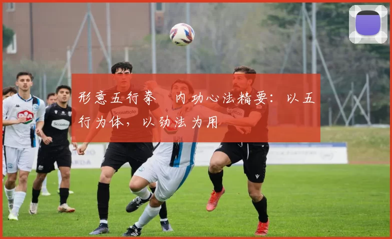 形意五行拳・内功心法精要:以五行为体,以劲法为用