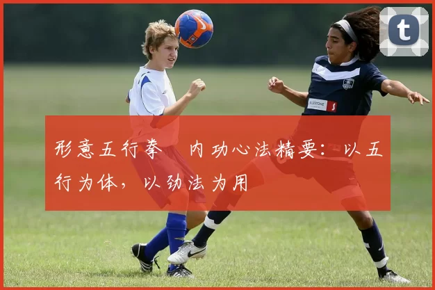 形意五行拳・内功心法精要：以五行为体，以劲法为用