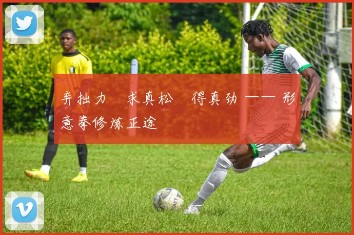 弃拙力・求真松・得真劲 —— 形意拳修炼正途