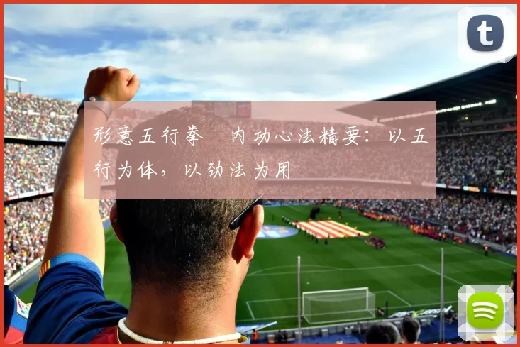 形意五行拳・内功心法精要：以五行为体，以劲法为用