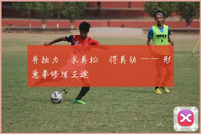 弃拙力・求真松・得真劲 —— 形意拳修炼正途