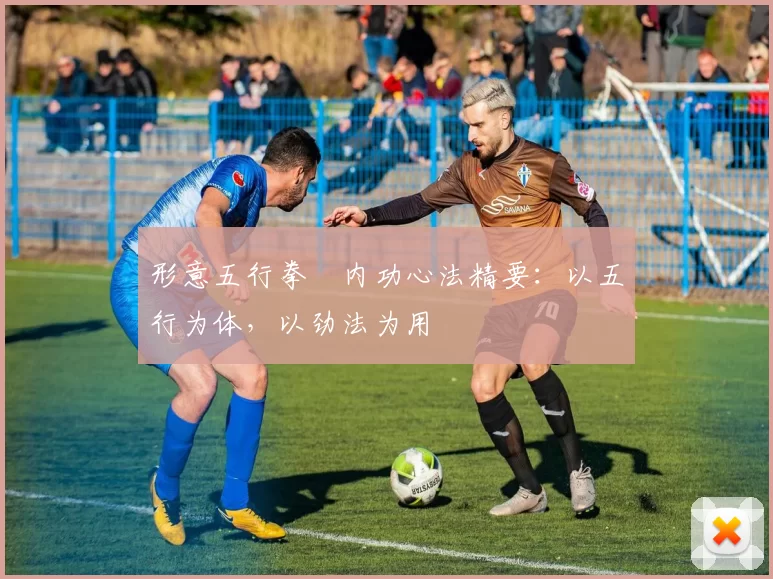 形意五行拳・内功心法精要:以五行为体,以劲法为用