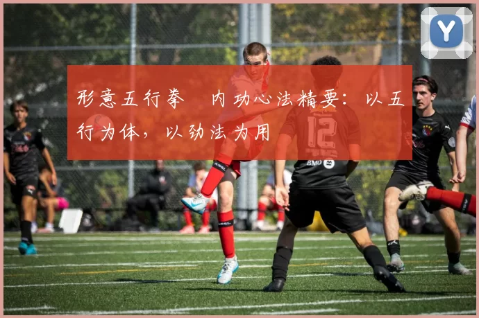 形意五行拳・内功心法精要：以五行为体，以劲法为用