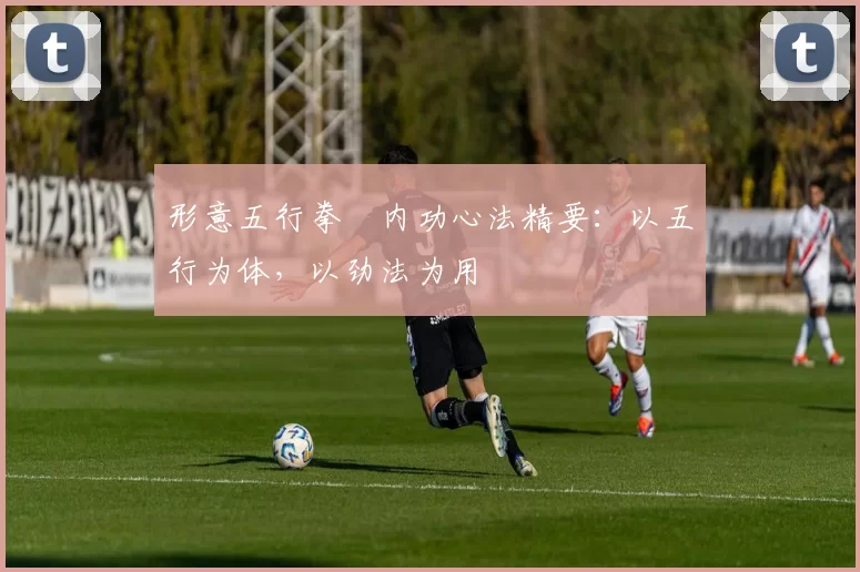 形意五行拳・内功心法精要：以五行为体，以劲法为用