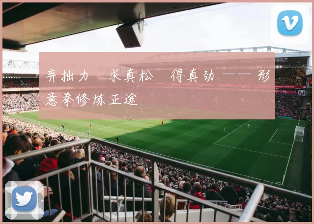 弃拙力・求真松・得真劲 —— 形意拳修炼正途