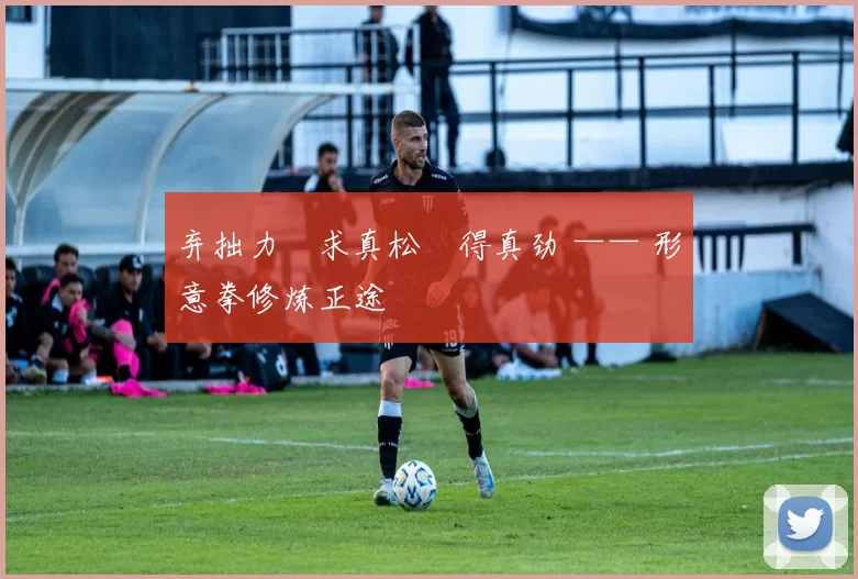 弃拙力・求真松・得真劲 —— 形意拳修炼正途