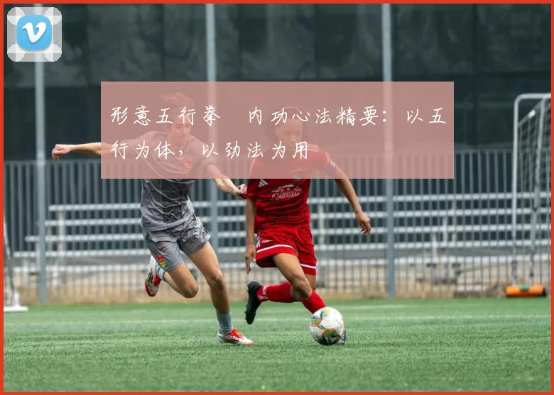 形意五行拳・内功心法精要：以五行为体，以劲法为用