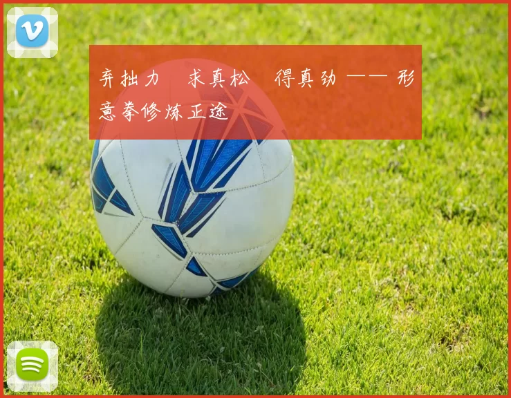 弃拙力・求真松・得真劲 —— 形意拳修炼正途