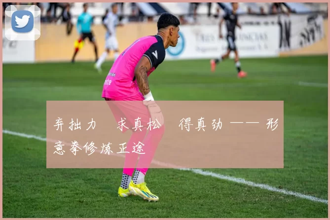 弃拙力・求真松・得真劲 —— 形意拳修炼正途