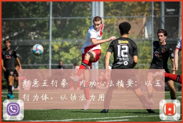 形意五行拳・内功心法精要：以五行为体，以劲法为用