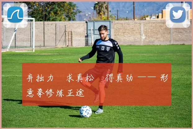 弃拙力・求真松・得真劲 —— 形意拳修炼正途