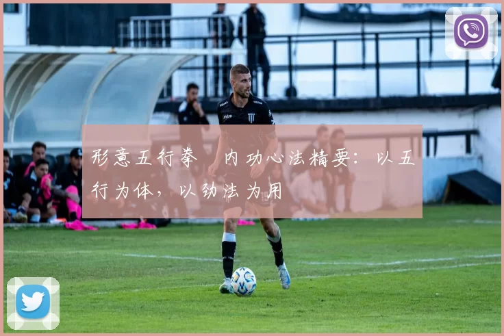 形意五行拳・内功心法精要：以五行为体，以劲法为用