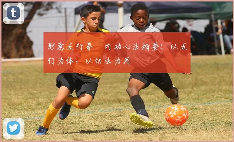 形意五行拳・内功心法精要：以五行为体，以劲法为用