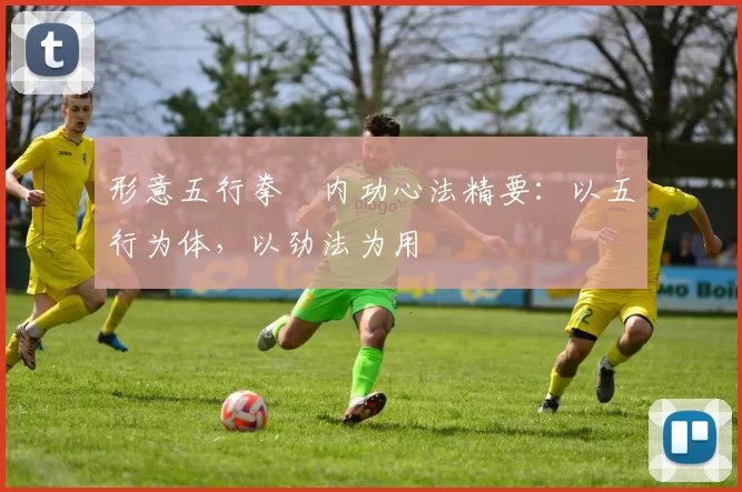 形意五行拳・内功心法精要：以五行为体，以劲法为用