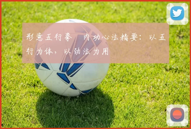 形意五行拳・内功心法精要：以五行为体，以劲法为用