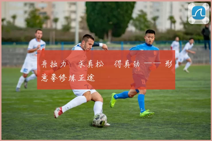 弃拙力・求真松・得真劲 —— 形意拳修炼正途