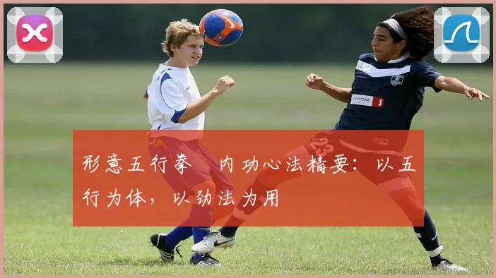 形意五行拳・内功心法精要：以五行为体，以劲法为用