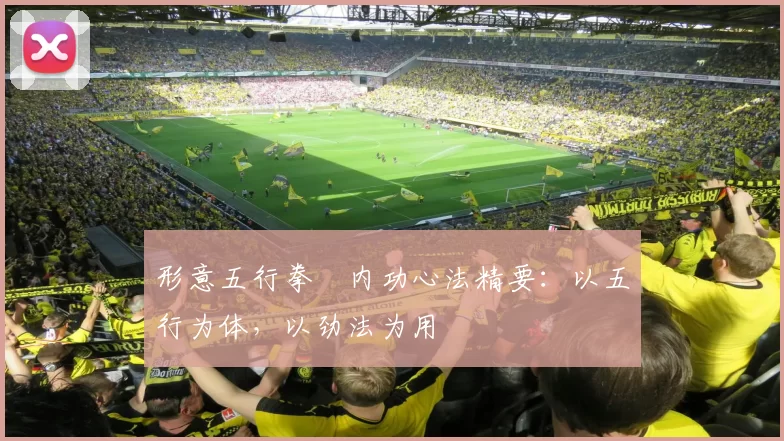 形意五行拳・内功心法精要：以五行为体，以劲法为用