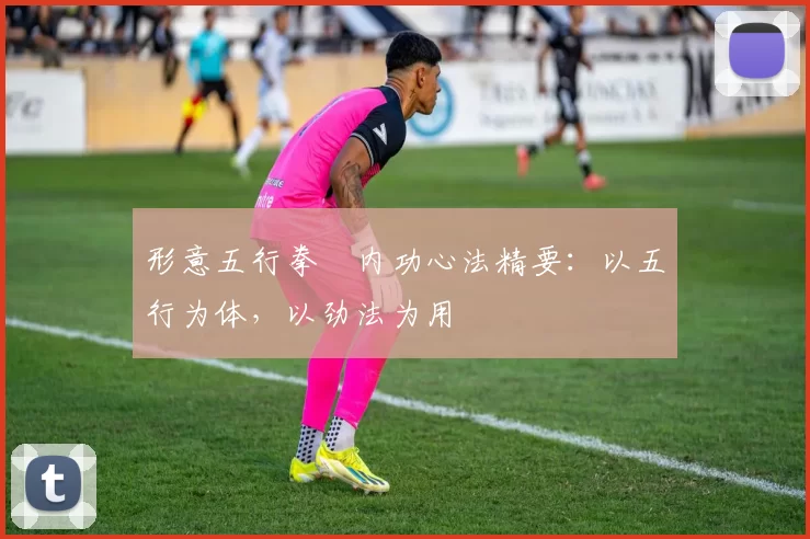 形意五行拳・内功心法精要:以五行为体,以劲法为用