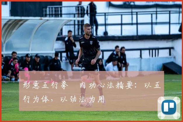 形意五行拳・内功心法精要：以五行为体，以劲法为用