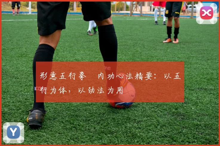 形意五行拳・内功心法精要:以五行为体,以劲法为用