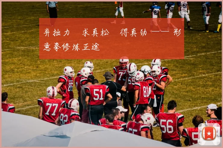 弃拙力・求真松・得真劲 —— 形意拳修炼正途