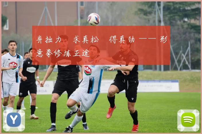 弃拙力・求真松・得真劲 —— 形意拳修炼正途