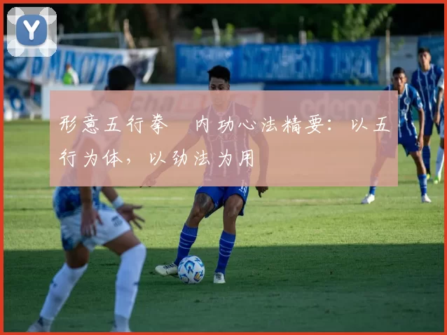 形意五行拳・内功心法精要:以五行为体,以劲法为用