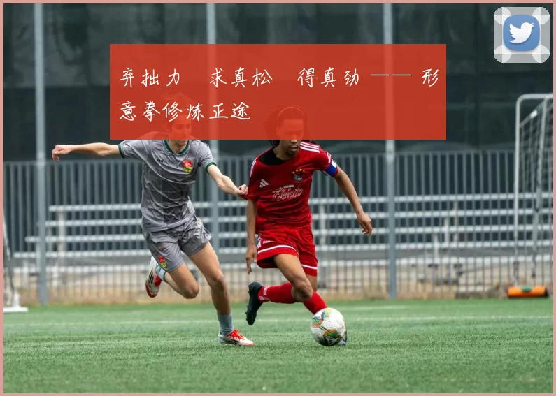 弃拙力・求真松・得真劲 —— 形意拳修炼正途