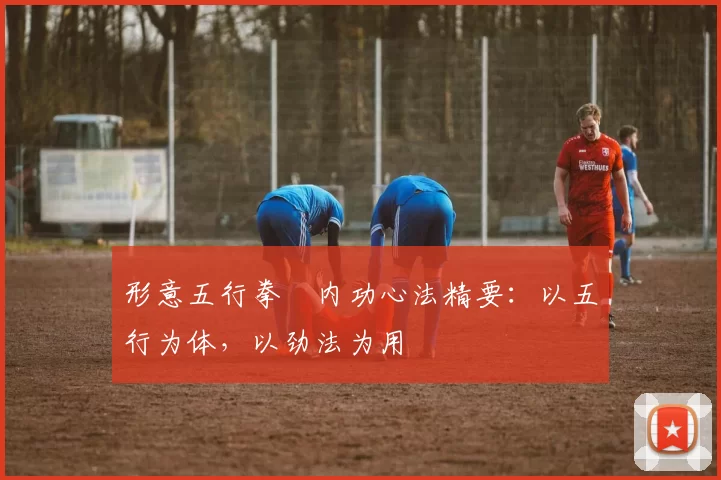 形意五行拳・内功心法精要：以五行为体，以劲法为用