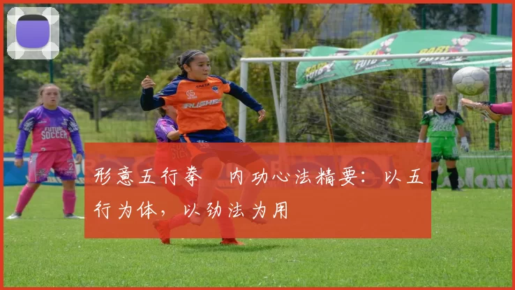 形意五行拳・内功心法精要：以五行为体，以劲法为用