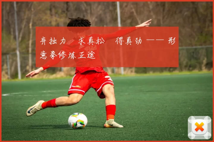 弃拙力・求真松・得真劲 —— 形意拳修炼正途