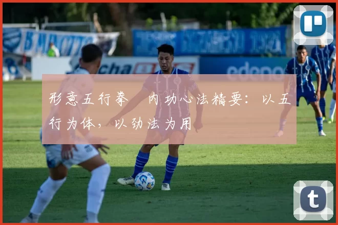 形意五行拳・内功心法精要:以五行为体,以劲法为用