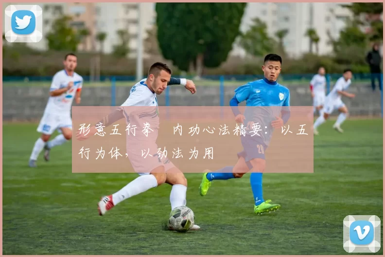 形意五行拳・内功心法精要：以五行为体，以劲法为用