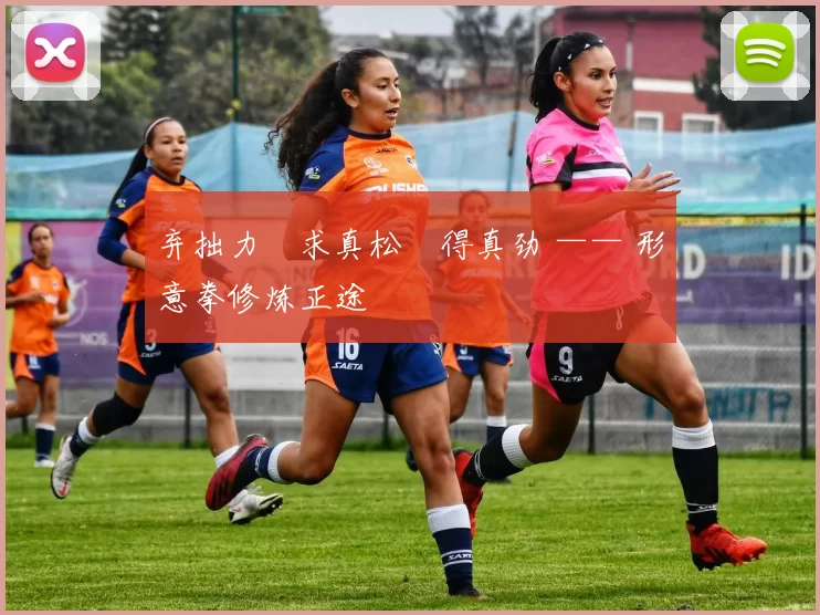 弃拙力・求真松・得真劲 —— 形意拳修炼正途