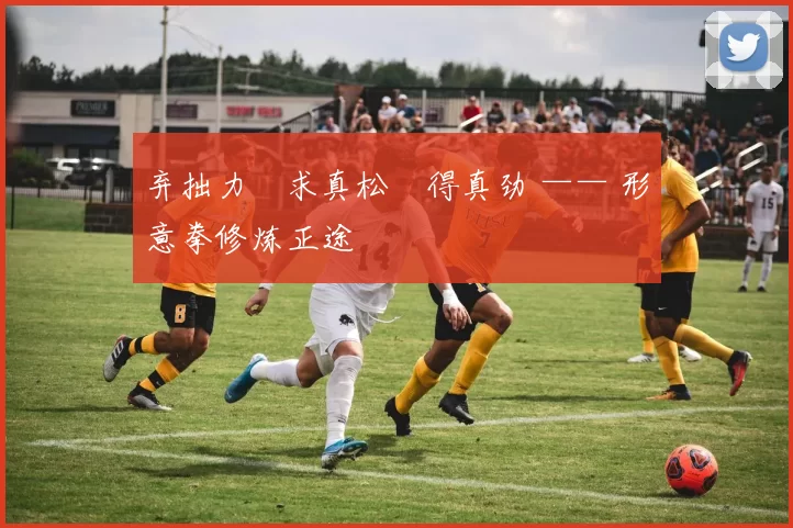 弃拙力・求真松・得真劲 —— 形意拳修炼正途