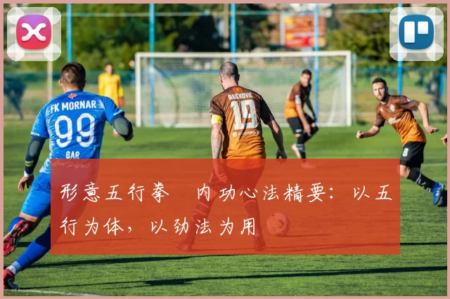 形意五行拳・内功心法精要:以五行为体,以劲法为用