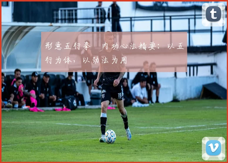 形意五行拳・内功心法精要：以五行为体，以劲法为用