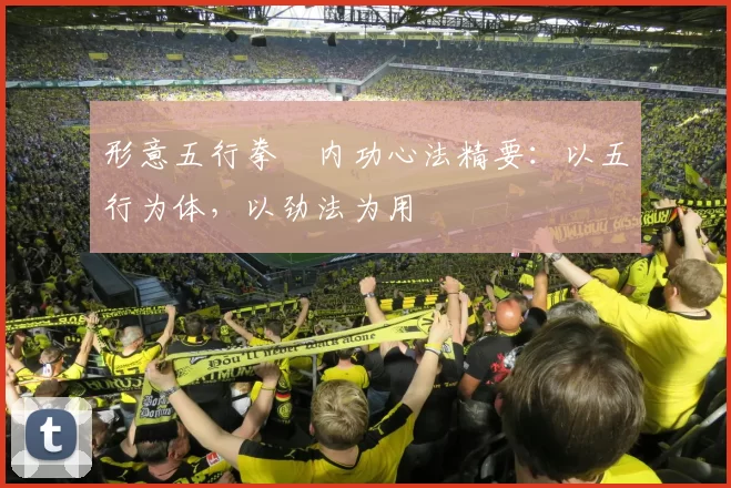 形意五行拳・内功心法精要：以五行为体，以劲法为用