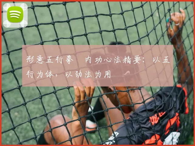 形意五行拳・内功心法精要:以五行为体,以劲法为用