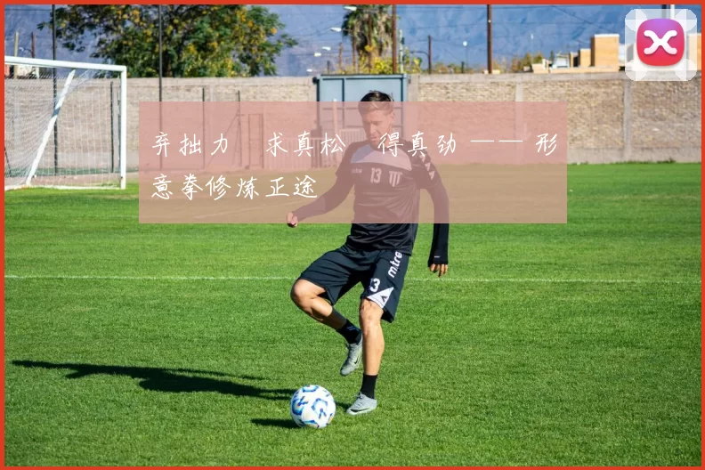 弃拙力・求真松・得真劲 —— 形意拳修炼正途