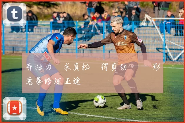 弃拙力・求真松・得真劲 —— 形意拳修炼正途