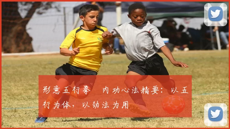 形意五行拳・内功心法精要：以五行为体，以劲法为用