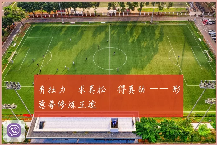 弃拙力・求真松・得真劲 —— 形意拳修炼正途