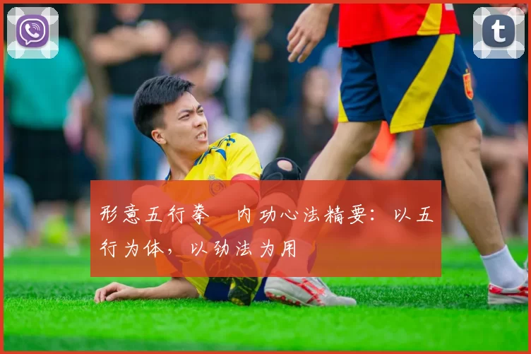 形意五行拳・内功心法精要：以五行为体，以劲法为用