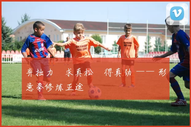 弃拙力・求真松・得真劲 —— 形意拳修炼正途