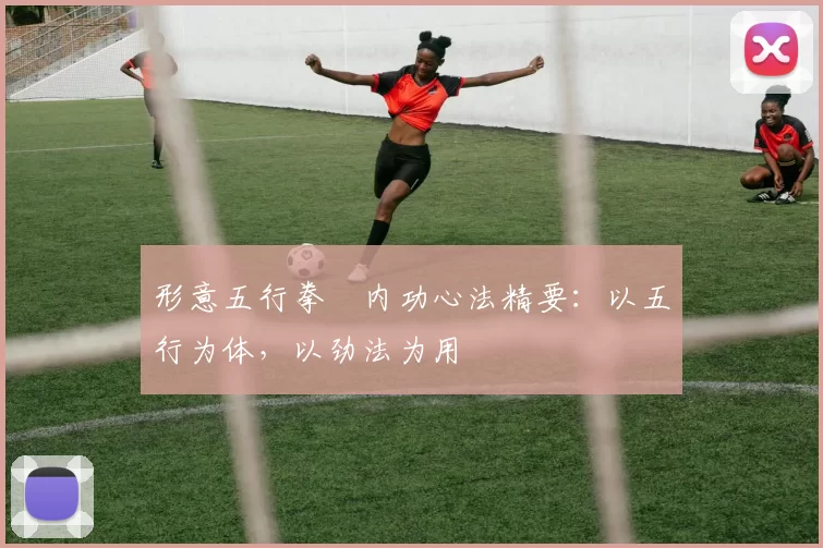 形意五行拳・内功心法精要:以五行为体,以劲法为用