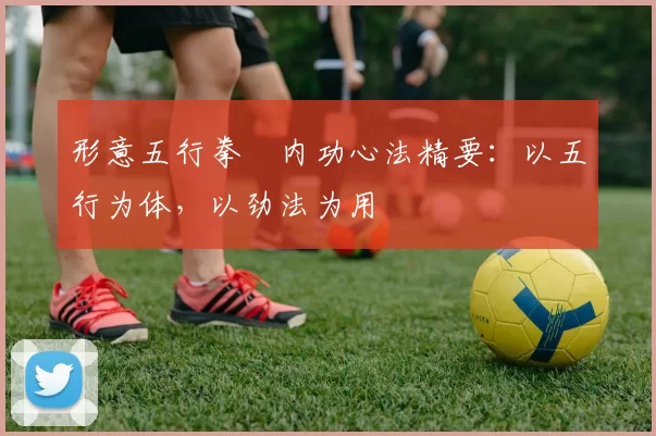 形意五行拳・内功心法精要:以五行为体,以劲法为用