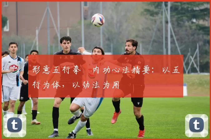 形意五行拳・内功心法精要:以五行为体,以劲法为用